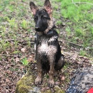 Meet your Posher, Sabrina